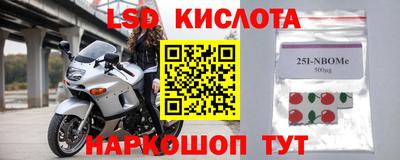 шишки Аргун