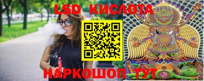 молекула духа Берёзовский