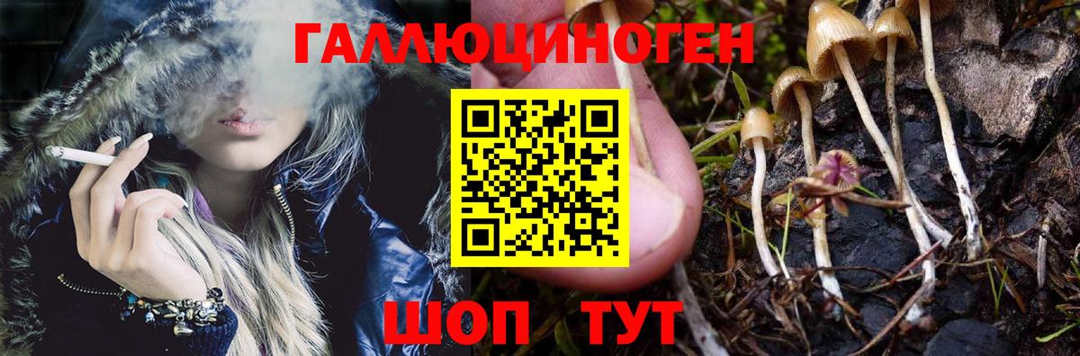 Балабаново  где можно купить наркотик  Вход с VPN  Псилоцибиновые грибы прущие грибы 